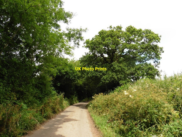 Photo 6"x4" Minor road to Dulford St Andrew's Wood c2016