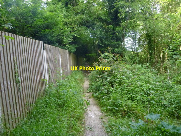 Photo 6"x4" London Countryway in Kent (56) Foxendown c2016