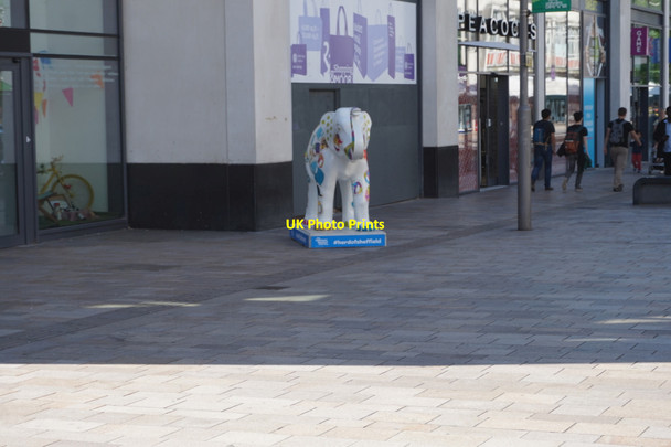 Photo 6"x4" Herd of Sheffield, All as One Sheffield\/SK3587 c2016
