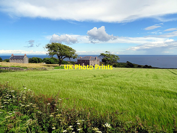 Photo 6"x4" Country residences near Cornaa Ballajora c2016