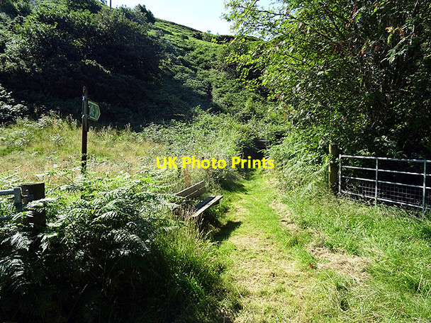 Photo 6"x4" Public footpath to Furnace Eglwys Fach c2016