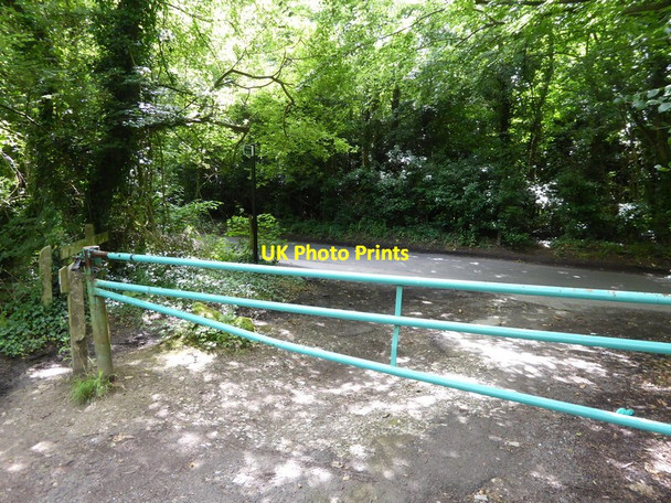 Photo 6"x4" London Countryway in Kent (114) Claygate Cross c2016