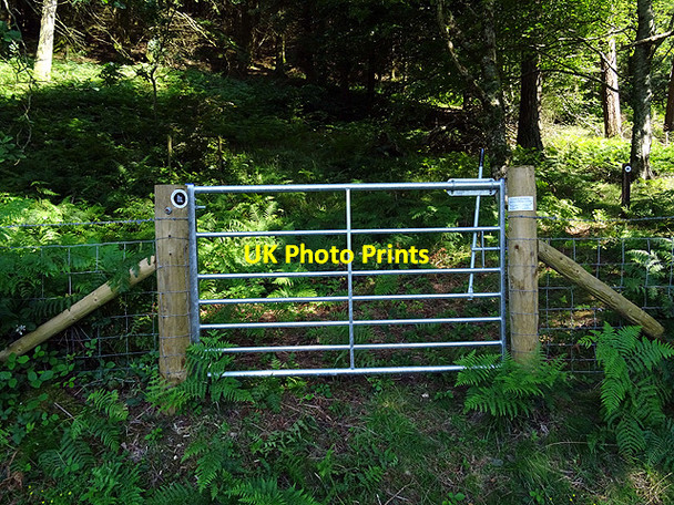 Photo 6"x4" Permissive Bridleway Glandyfi c2016