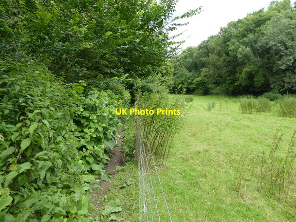 Photo 6"x4" London Countryway in Kent (119) Claygate Cross c2016