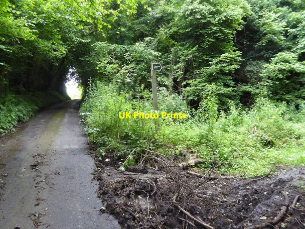 Photo 6"x4" London Countryway in Kent (124) Basted c2016