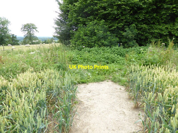 Photo 6"x4" London Countryway in Kent (136) Plaxtol c2016