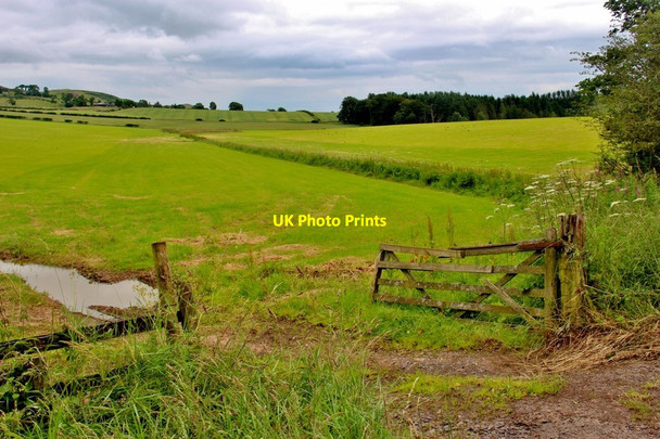 Photo 6"x4" Arable fields at Redpath Redpath\/NT5835 c2016