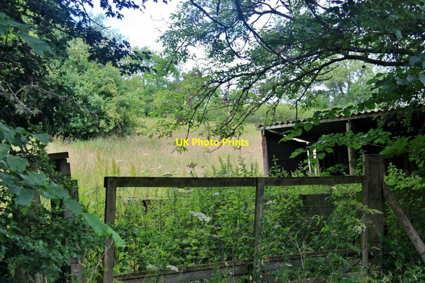 Photo 6"x4" Old shed at Tweed Horizons Centre Dryburgh\/NT5931 c2016