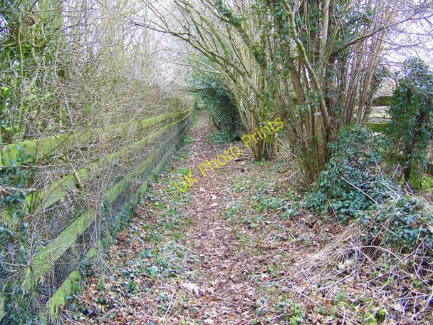 Photo 6"x4" Footpath near Martin Drove End Martin Drove End c2009