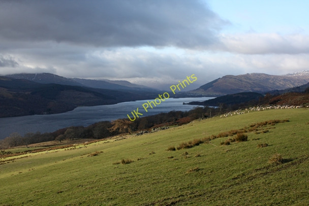 Photo 6"x4" Grassland, Tomour Ardeonaig c2009