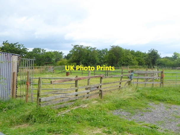 Photo 6"x4" Livestock pen at Laithes Great Blencow c2016