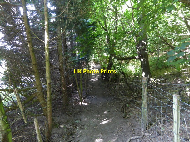 Photo 6"x4" London Countryway in Kent (160) Underriver c2016