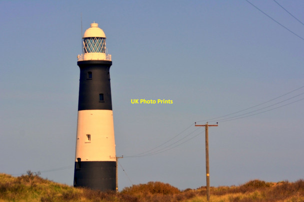 Photo 6"x4" Spurn National Nature Reserve Greedy Gut c2016