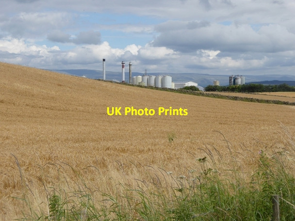 Photo 6"x4" Barley field off Mile Lane Penrith c2016
