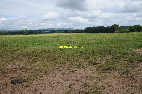 Photo 6"x4" Field opposite Burton Court Lower Burton c2016