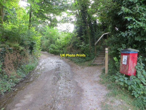 Photo 6"x4" Footpath by the Dog Bin Aston Upthorpe c2016