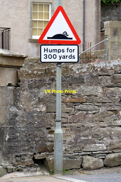 Photo 6"x4" Snail on a roadsign, Commercial Street, Lerwick Lerwick c2016