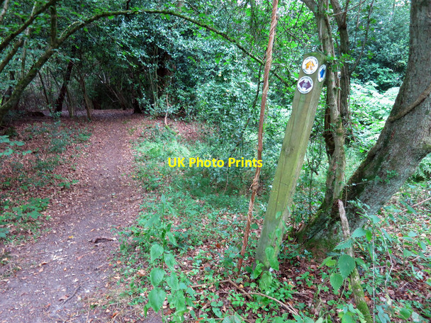 Photo 6"x4" Leaning Waymark Bucklebury c2016