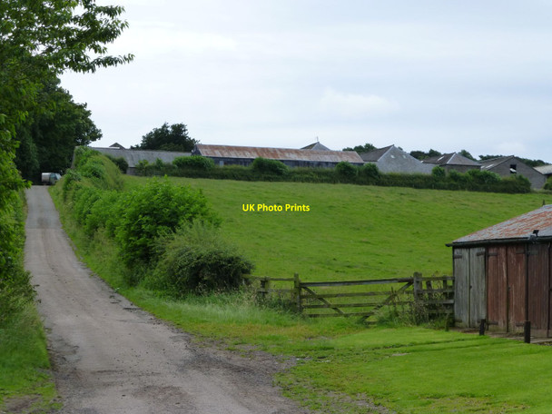 Photo 6"x4" Mardon farm Branxton\/NT8937 c2016