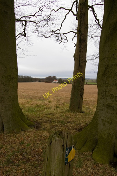 Photo 6"x4" South-east of Middleton on the Wolds Middleton on-the-Wolds c2009