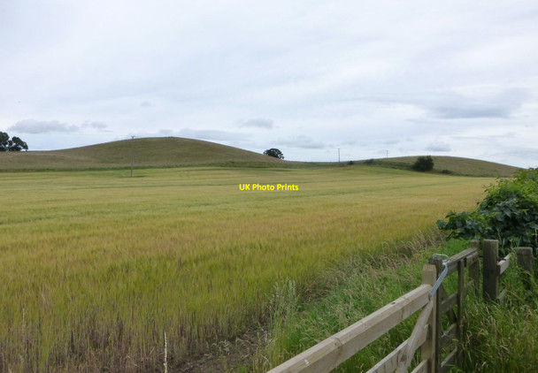 Photo 6"x4" Rounded hills near Crookham Crookham\/NT9138 c2016