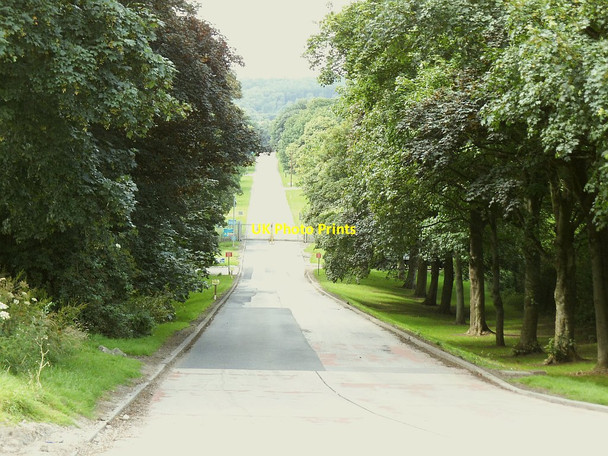 Photo 6"x4" The Avenue, Apperley Bridge Yeadon c2016