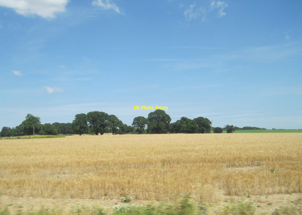 Photo 6"x4" View from a Norwich-Great Yarmouth train - fields near Buckenham Buckenham c2016