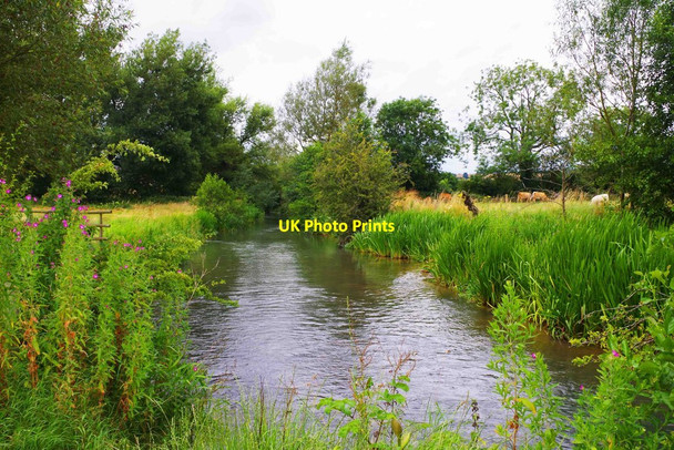 Photo 6"x4" River Windrush near Burford, Oxon Burford\/SP2512 c2016
