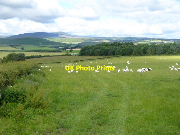 Photo 6"x4" Northumbrian landscape Powburn c2016