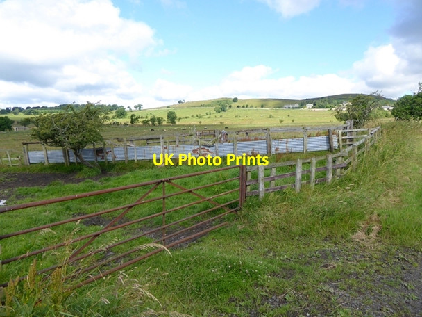 Photo 6"x4" Gate and livestock pen near Glanton Glanton c2016