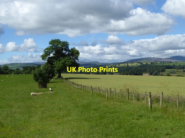 Photo 6"x4" Fields at Beanley Beanley c2016