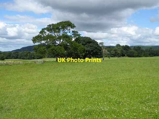 Photo 6"x4" Field near Eglingham Eglingham c2016