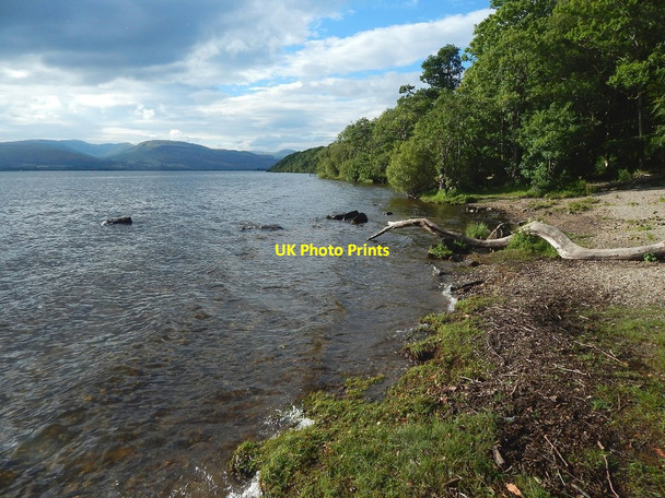 Photo 6"x4" The shore at Balloch Park Balloch\/NS3982 c2016