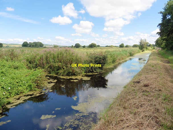 Photo 6"x4" Rhyne on Sedgemoor Drove Bussex c2016