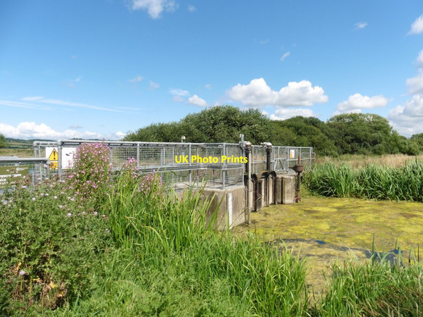 Photo 6"x4" Weir and footbridge on Langacre Rhyne Moorlinch c2016