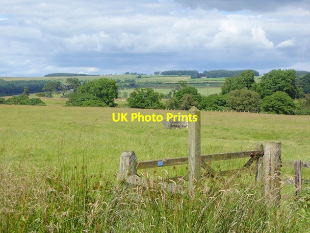 Photo 6"x4" Bridleway to Eglingham East Bolton c2016