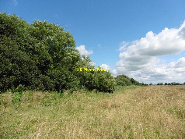 Photo 6"x4" Sedgemoor Levels Moorlinch c2016