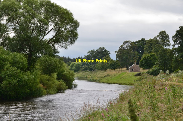Photo 6"x4" The Tweed and Canny Island Ladykirk\/NT8847 c2016