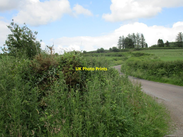 Photo 6"x4" The road to Ballynoe Clonmult c2016