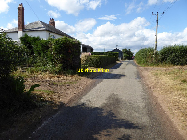 Photo 6"x4" Country road passing Oak Farm Baynhall c2016