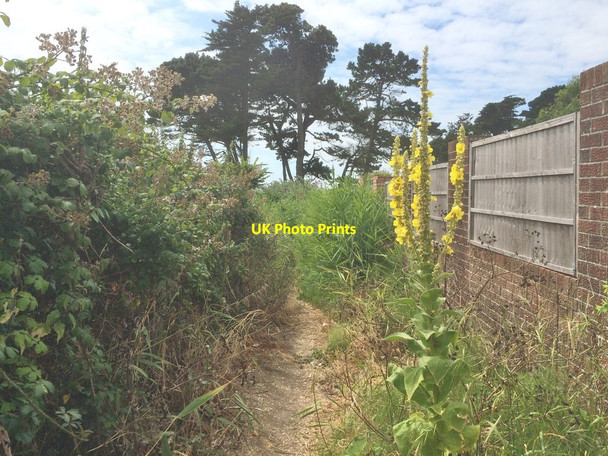 Photo 6"x4" Rodwell, footpath Weymouth\/SY6779 c2016