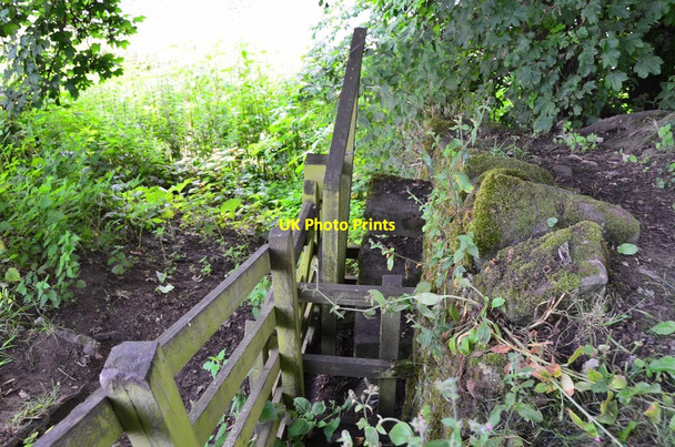 Photo 6"x4" A tight squeeze on the riverside path near Milne Graden Melkington c2016