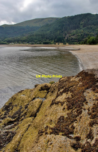 Photo 6"x4" Finart Bay from Shepherd's Point Ardentinny c2016