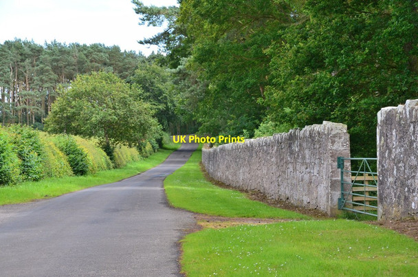 Photo 6"x4" Boundary wall, Ladykirk estate Ladykirk\/NT8847 c2016 P1