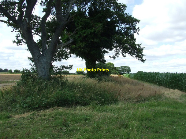 Photo 6"x4" Field Boundary South Cove c2016