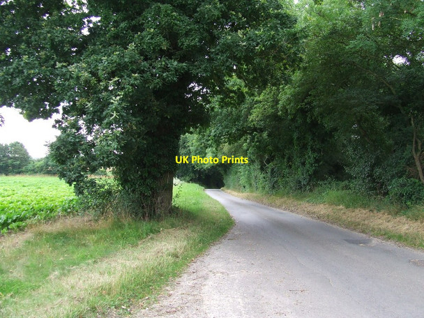 Photo 6"x4" Kings Lane Blyford c2016