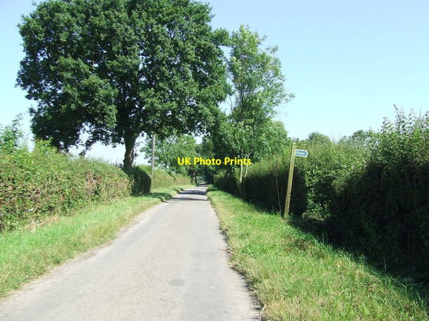 Photo 6"x4" Rumburgh Lane All Saints South Elmham c2016