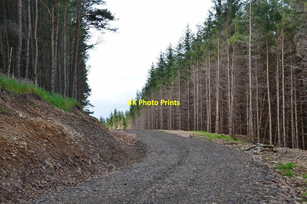 Photo 6"x4" Logging road, Newby Kipps Bonnington\/NT2538 c2016