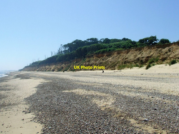Photo 6"x4" Easton Wood Covehithe c2016