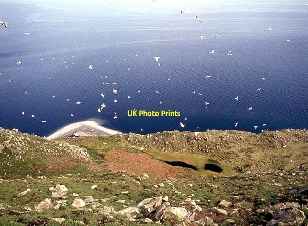Photo 6"x4" Gulls and Garra Lochs, Ailsa Craig Foreland Point\/NX0299 c1977